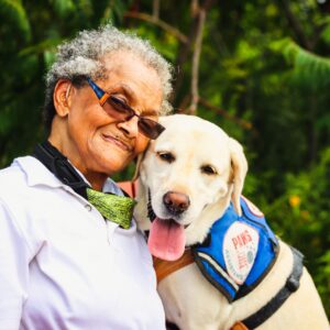 Wellness Dogs